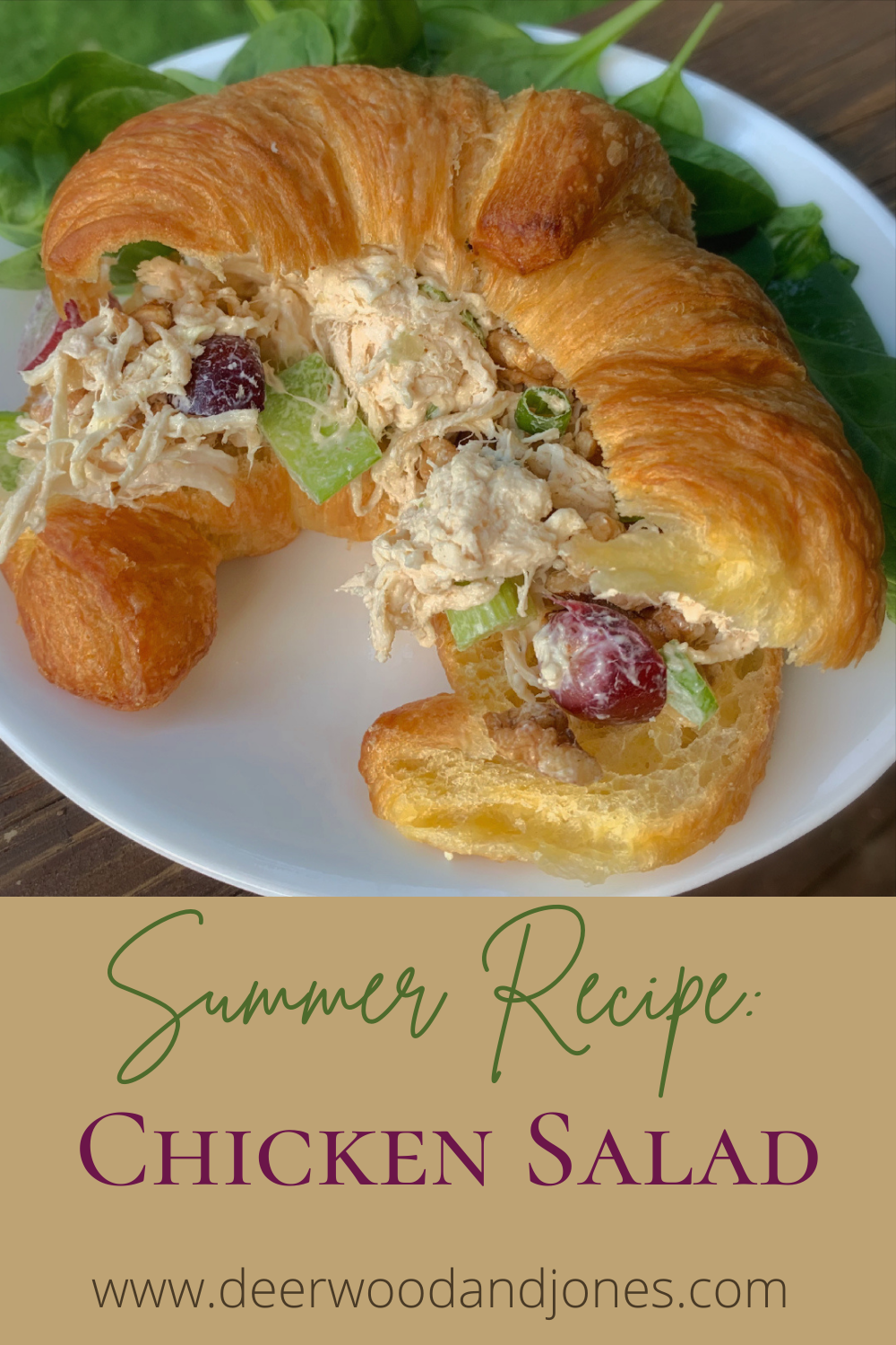 Chicken Salad on a Croissant on a white plate with spinach leaves